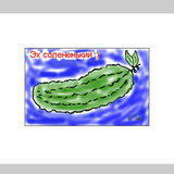 3025smith-das ist cucumber.jpg