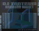 bh-hawaiian_sunset_back.jpg