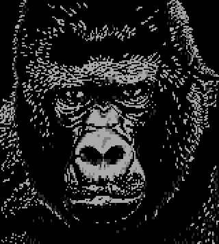 ndh - Gorilla.bin