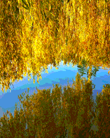 DIANE_SMITHERS-GOLDENWILLOWLOSTLAGOON.JPG