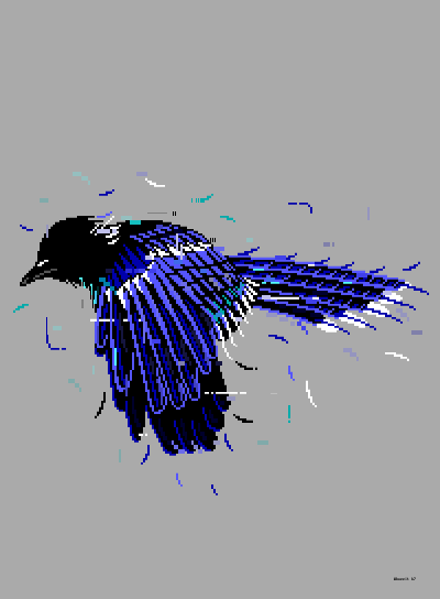 WZ - Bluejay.ans