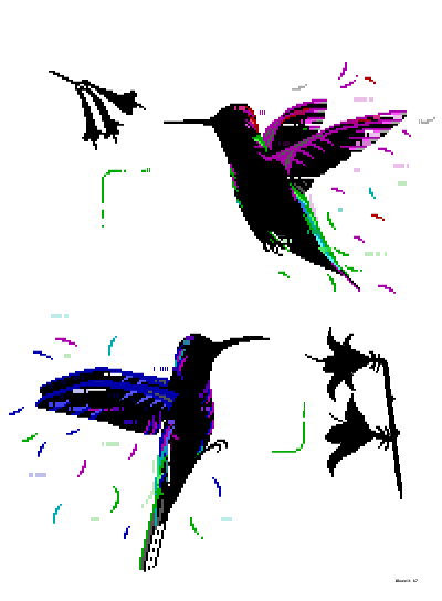 WZ - Hummingbirds.ans