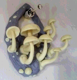 THERESA_OBORN-FUNGI.JPG