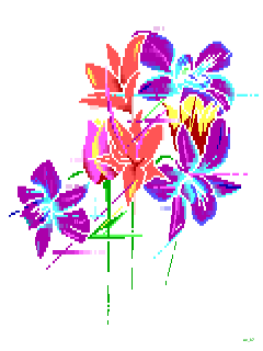 WZ - Flowers (Orchid, tulip and lily).ans