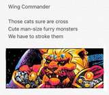 BHAAL_SPAWN-GAMINGHAIKUS-36-WING_COMMANDER.JPG