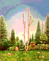 MYTHICAL_MAN-FOREST.JPG.JPG