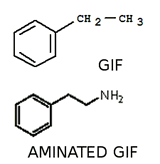 Radiant_Piscine-Aminated.jpg