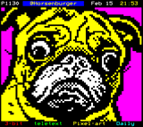 HORSENBURGER-BRUCE_THE_PUG.JPG