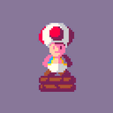 SCOFANOGD-PICO_8-TOAD.JPG