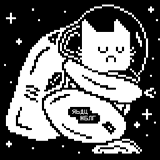 JELLICA_JAKE-CATS_DON'T_LIKE_IT_MUCH_IN_SPACE.JPG