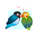 !EMME_DOBLE-LOVEBIRDS.JPG