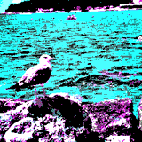 MY_LIFE_COMPUTERIZED-GULL.JPG