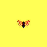 8BIT_POET-CICADA.JPG