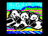 JELLICA_JAKE-PANDAS.JPG