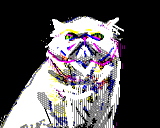 BLIPPYPIXEL-PERSIAN_CAT.PNG