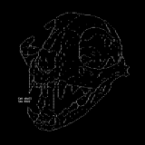 LITTLEBITSPACE-CAT_SKULL.PNG