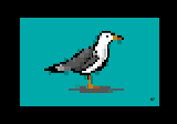 H7-SGULL.ANS